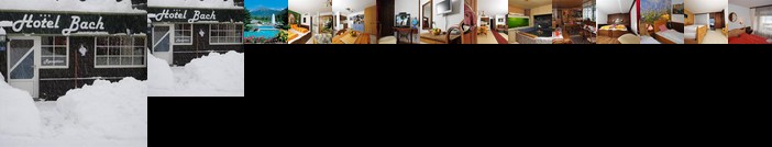 Hotel Bach Brig