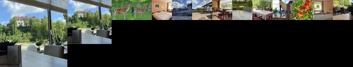Waldhotel Felsenkeller