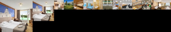 Aranyhomok Business Wellness Hotel