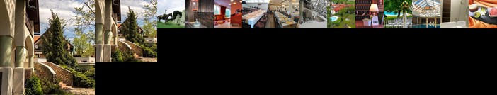Hasik Hotel Dobronte