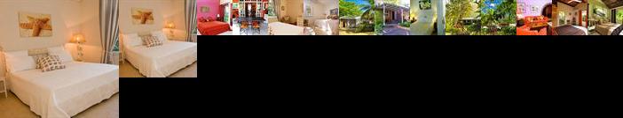 Les Lataniers Bleus Guest House Black River