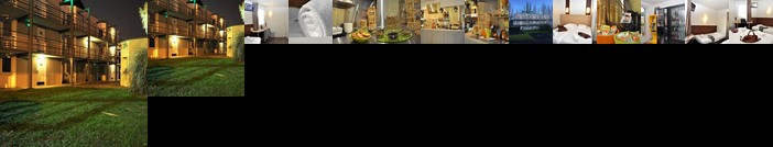 Bonsai Etape Caen