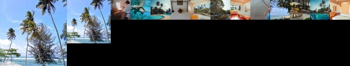 Polhena Reef Garden
