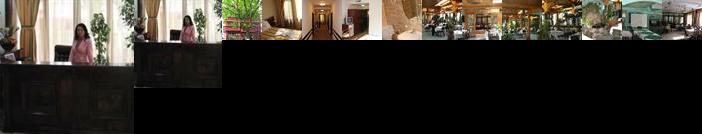 Hotel Ami Baile Felix