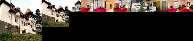 Vila Sinaia 1929 Accommodation