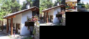 Campeggio La Pineta