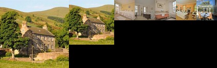 Ladywell House Bed & Breakfast