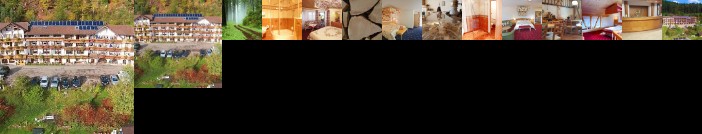 Vital- und Wellnesshotel Basler Hof