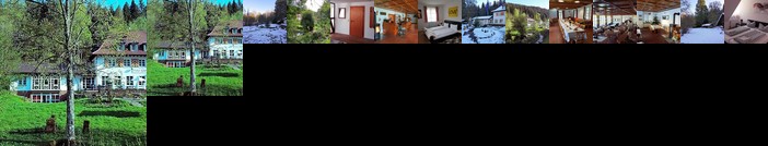 Hotel Gut Lauterbad