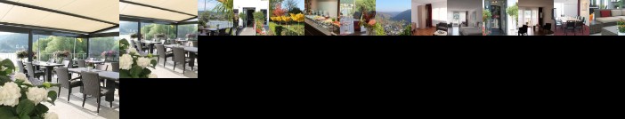 Rhein Hotel Arte