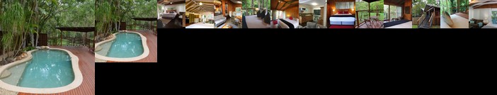 Tree Houses of Montville