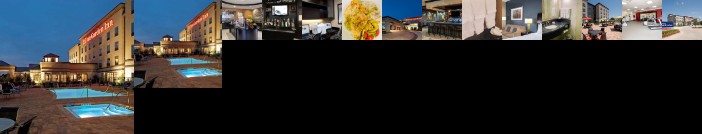 Hilton Garden Inn Fort Worth Alliance Airport