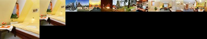 Hotel Stary Mlyn