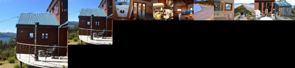 The Tree House