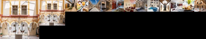Abba Palacio De Arizon Hotel