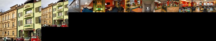 Hotel Rieger