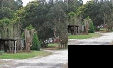 Wing's Wildlife Park