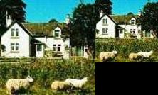 Seaforth Croft