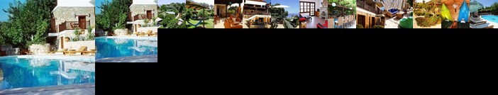 Lazy Lizard Hotel