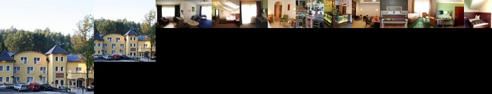 Gasthof Hotel Zum Grunen Wald Wolfsegger