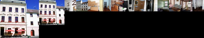 Hotel Penzion Plana