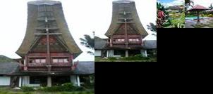 Rantepao Lodge