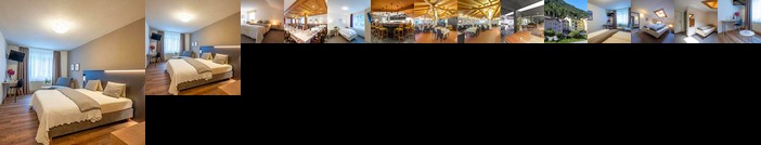 Hotel Alpina Scheirs