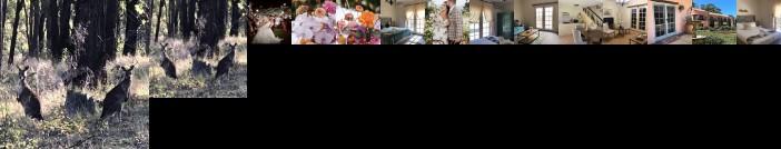 Villa Provence