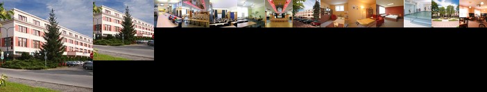 Hotel Mas