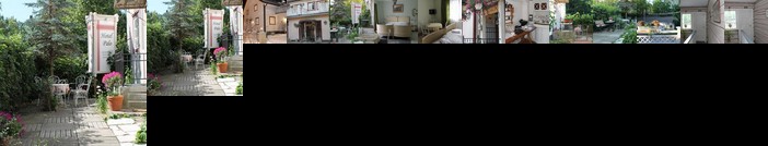 Hotel Palo