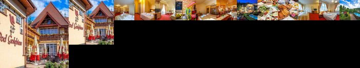 Hotel Pod Golebiem
