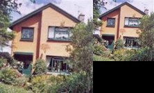 Alpenrose Guest House