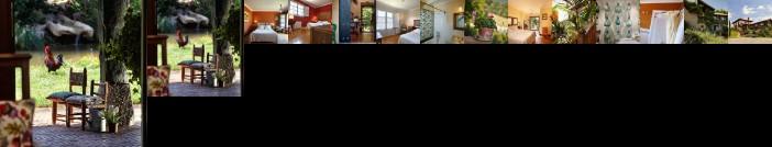 Hotel Ibarra