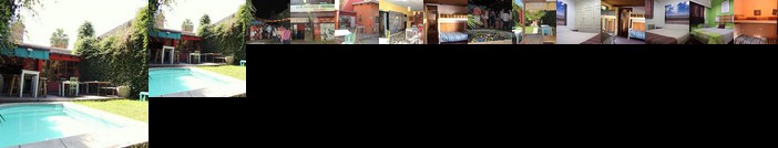All In Mendoza Monkey Hostel