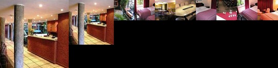 Hotel Palmas Express