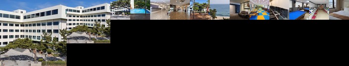 Benikea Gyungpo Beach Hotel