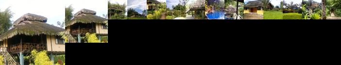 Arasha Tropical Forest Resort and Spa