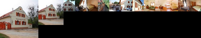 Napvirag-Haz