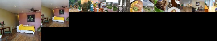 Venus Hotel San Ignacio