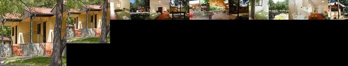 Resort Beach Nova Zivohost