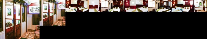 The Nettle & Fern Hotel
