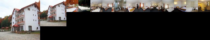 Hotel Paltinis