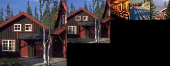 Gala Fjellgrend