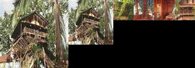 Treehouse Village Resort