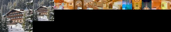 Hotel Des Alpes Soraga