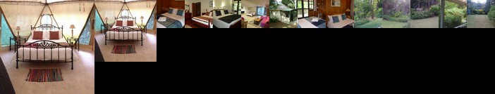 Mt Warning Bed and Breakfast Retreat