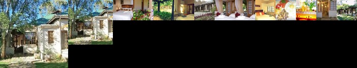 Top House Bed & Breakfast
