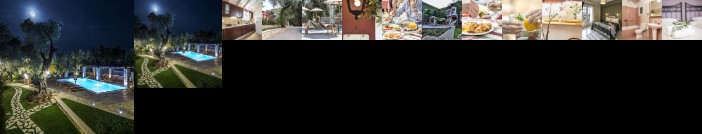 Vassilis House