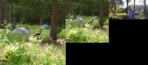 Lazy Duck Campsite