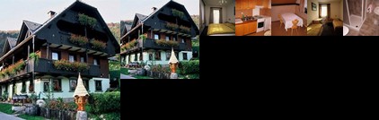 Apartments Sodja